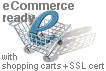 ecommerce e-commerce